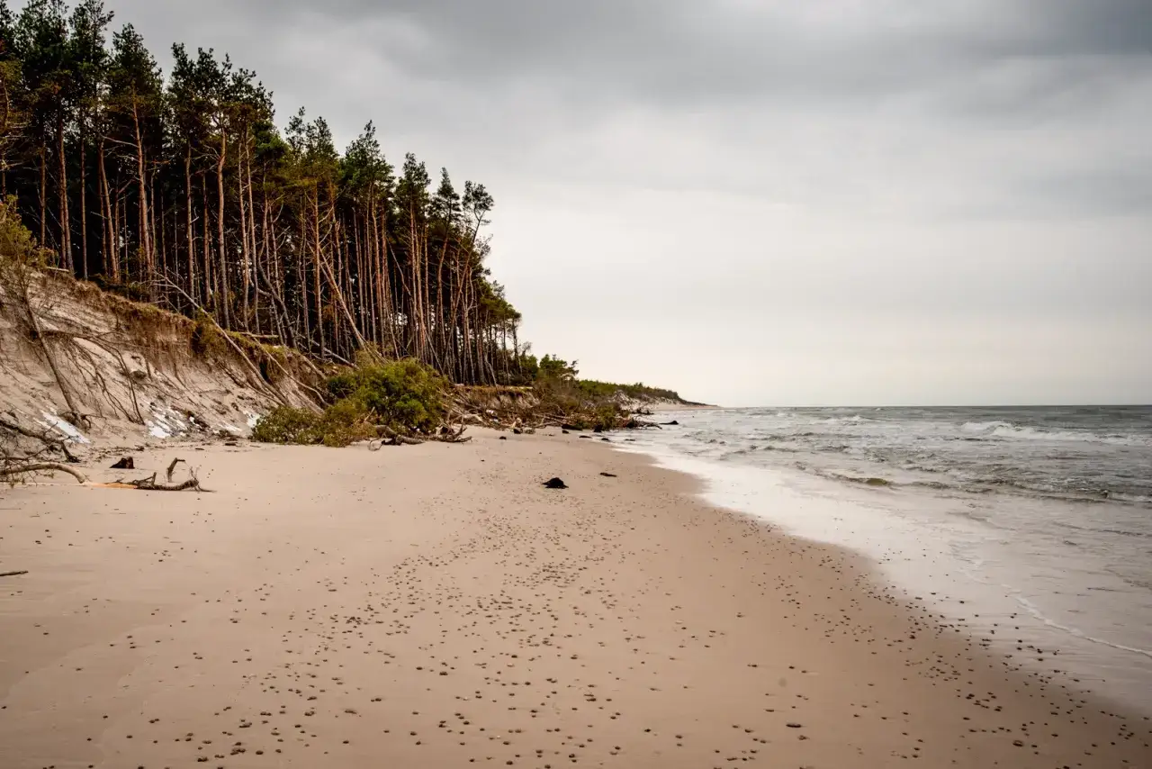 Piaszczysta plaża z sosnowym lasem na wydmach, morze i niebo. Może to najładniejsza plaża w Polsce?