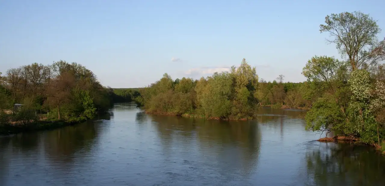 Szeroka rzeka płynie przez zielony krajobraz. W oddali widać gęsty las, a na brzegach bujną roślinność. To piękny widok z Załęczańskiego Parku Krajobrazowego.