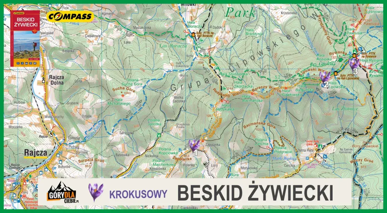 Mapa turystyczna Beskidu Żywieckiego z zaznaczonymi szlakami, w tym fragmentem szlaku prowadzącego do Rysianki.